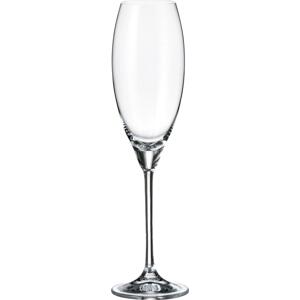 Crystalite Bohemia sklenice na šampaňské Carduelis 290 ml 6KS