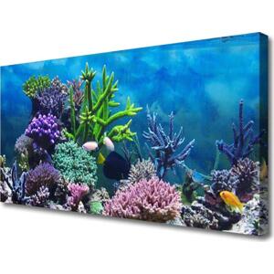 Obraz na plátně Akvárium Rybičky Pod Vodou 120x60 cm