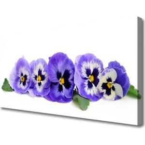Obraz na plátně Plátky Květ Macešky 120x60 cm