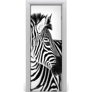 Samolepící fototapeta na dveře Zebra ve sněhu 95x205 cm
