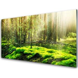 Obraz na skle Mech Les Příroda 100x50 cm