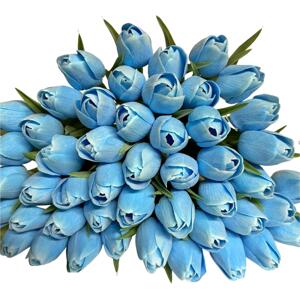 Tulipán DEEP SKY BLUE