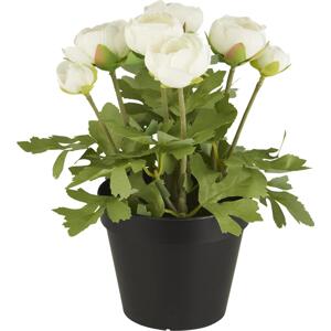 IB LAURSEN Dekorativní umělý pryskyřník White Flowers, multi barva, plast