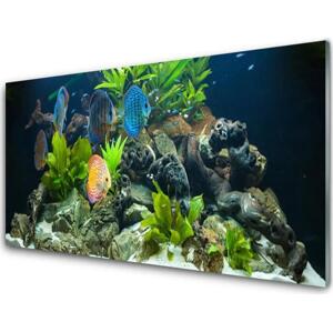 akrylový obraz Ryba Kameny Listy Příroda 120x60 cm