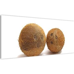 Kokosový ořech, obraz (100x40cm)