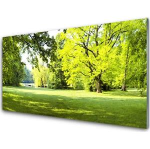 Obraz na skle Tráva Stromy Park Příroda 100x50 cm
