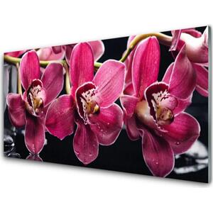 Plexisklo-obraz Květiny Orchideje Výhonky Příroda 100x50 cm