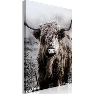 Obraz - Kráva z Vysočiny - sépie 80x120