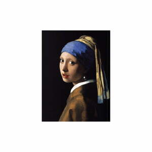 Reprodukce obrazu Johannes Vermeer - Girl with a Pearl Earring, 40 x 30 cm