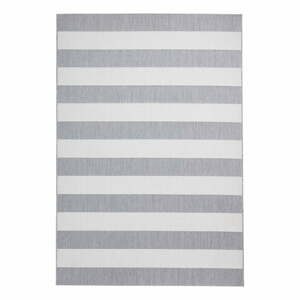 Béžovo-šedý venkovní koberec 290x200 cm Santa Monica - Think Rugs
