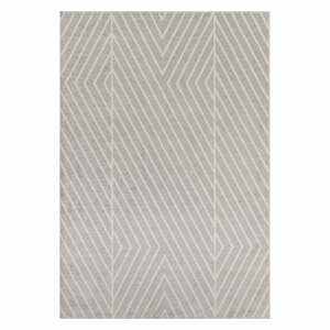Světle šedý koberec 120x170 cm Muse – Asiatic Carpets