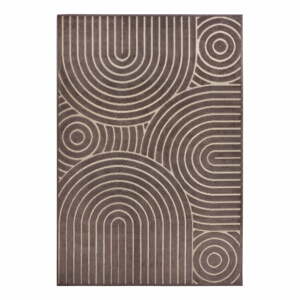 Hnědý koberec 160x235 cm Iconic Wave – Hanse Home
