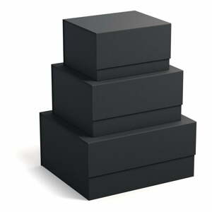 Kartonové úložné boxy v sadě 3 ks s víkem Ilse – Bigso Box of Sweden
