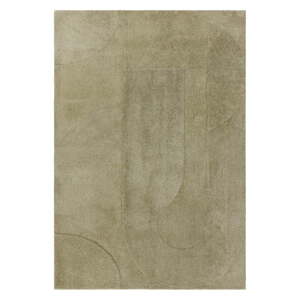 Zelený koberec 200x290 cm Tova – Asiatic Carpets