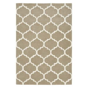 Světle hnědý ručně tkaný vlněný koberec 200x290 cm Albany – Asiatic Carpets