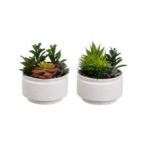 Umělé rostliny v sadě 2 ks (výška 19 cm) Cactus – Casa Selección