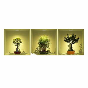 Sada 3 samolepek s 3D efektem Ambiance Bonsai Trees On Spot